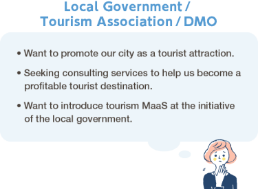 Local Government / Tourism Association / DMO